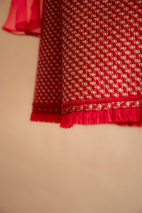Jupe tweed rouge & beige